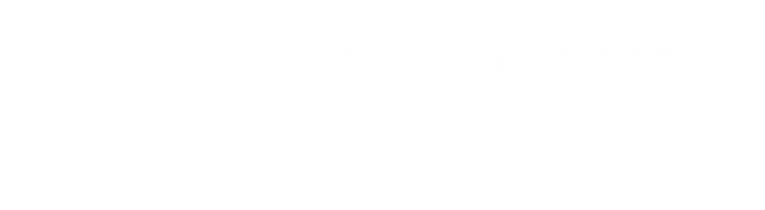 Binary Confidence 原厂标识