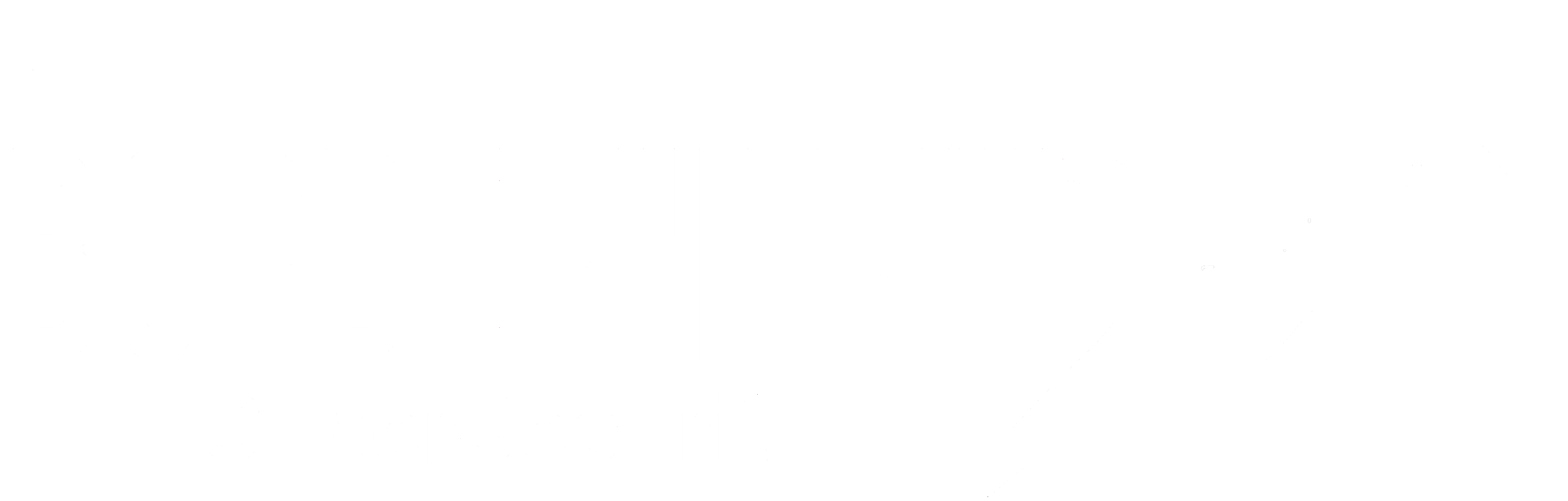 BorderHawk, LLC 原厂标识