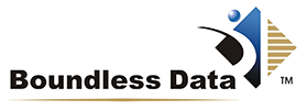 Boundless Data 原厂标识