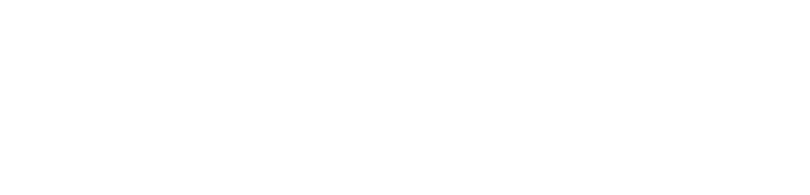 Censys 原厂标识