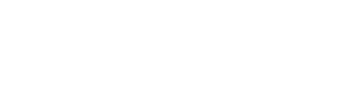 Fox-IT 原厂标识