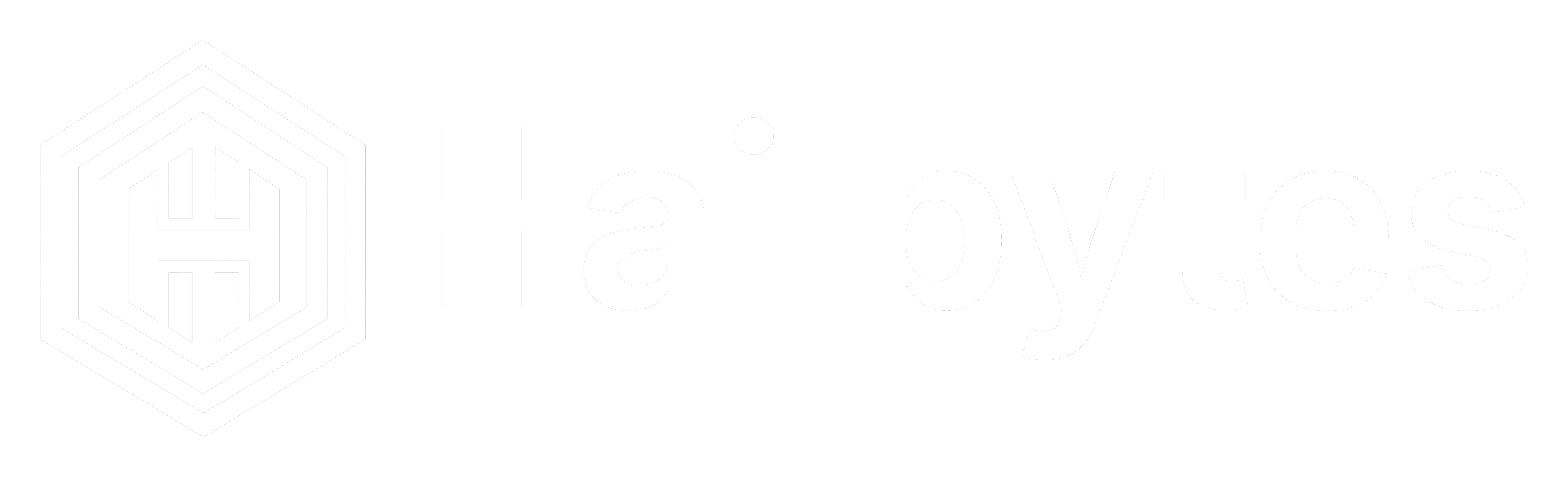 HailBytes 原厂标识
