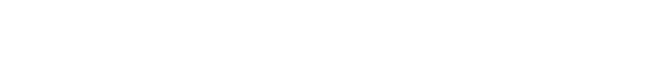 Hook Security 原厂标识