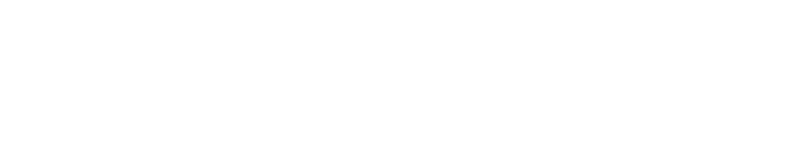 LockStock Cybersecurity and Analytics 原厂标识
