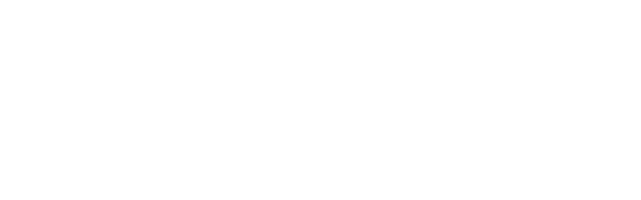 Payload Networks 原厂标识