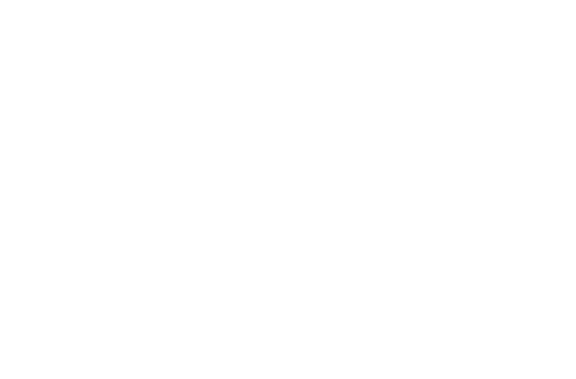Prancer 原厂标识