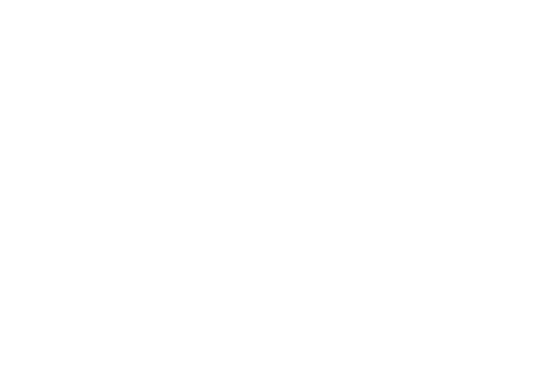 Proton Solutions 原厂标识
