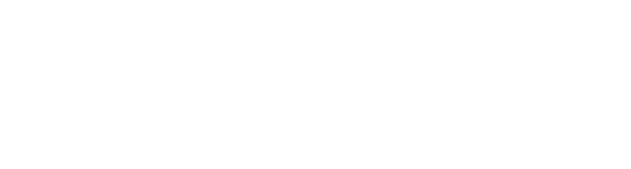 Radiant Logic 原厂标识