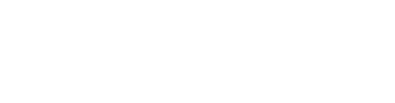 Saidot 原厂标识