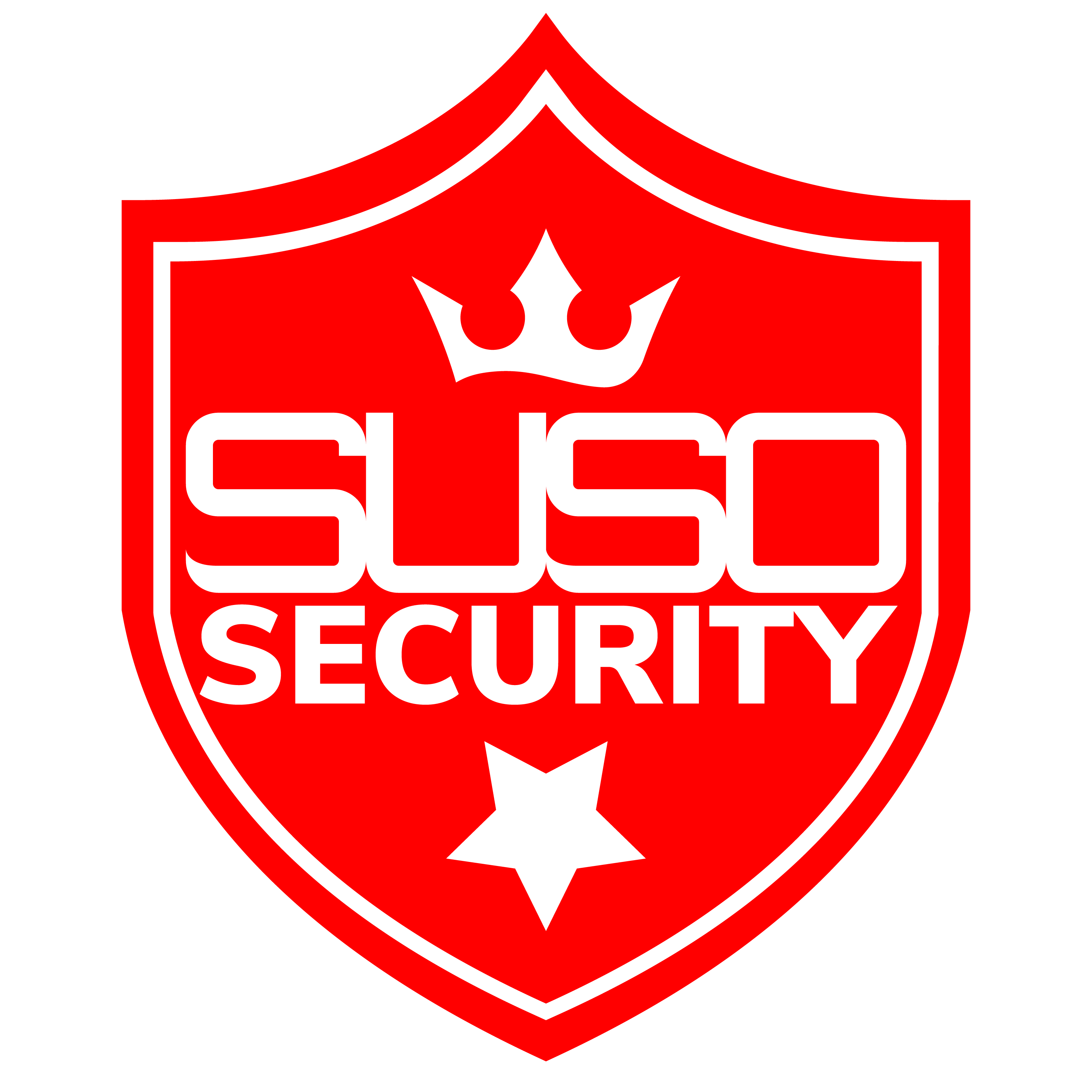 Show Up Show Out Security 原厂标识