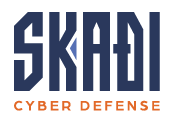 Skadi Cyber Defense 原厂标识