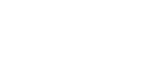 Third Coast IT 原厂标识