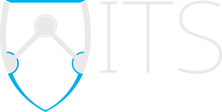 WITS Cybersecurity 原厂标识