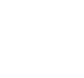 Arctic Wolf 原厂标识